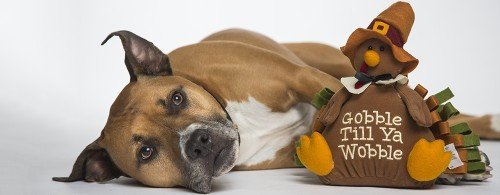 Jack-Roxy_5573_web.jpg Jack-Roxy_5573_web.jpg