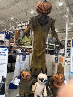 IMG_2040.jpeg