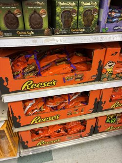 IMG_0132.jpeg
