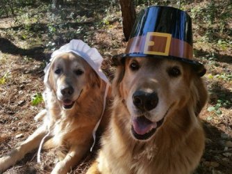 thanksgiving-904x678.jpg