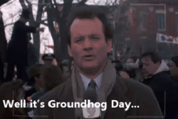 image.gif