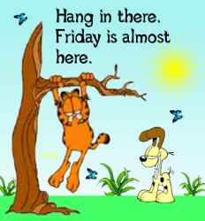 94310-Hang-In-There-It-s-Almost-Friday.png