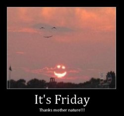 funny-friday-pictures-bacon-wrapped-media-18.jpg
