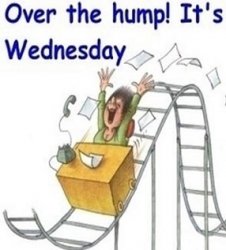 wednesday_03.jpg