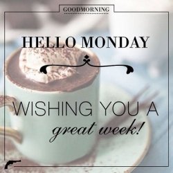 135453-Good-Morning-Hello-Monday.jpg