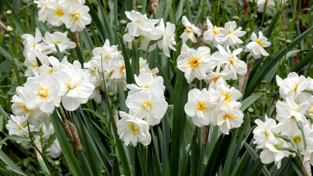 1786801407632.png
