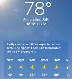Screenshot 2026-08-18 at 7.51.02 AM.png