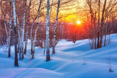 Winter-Solstice-Facts-and-Myths.jpg