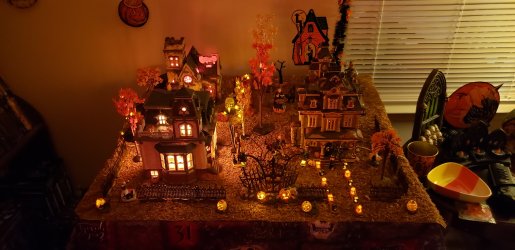 379.jpg 379.jpg