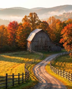 FB_IMG_1789957624308(1).jpg
