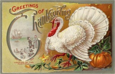 White-Turkey-Vintage-Postcard-Gr.jpg