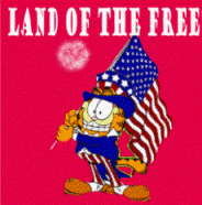 Garfield 4th of July 1.gif