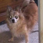 112 - Copy (2) - Copy.jpg