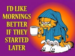 garfield mornings.jpg