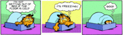 Garfield its freezing.gif