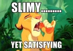 Sima slimy yet satisfying.jpg