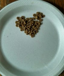 1272896_1423684119 - Copy.jpg