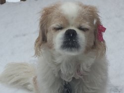 image.jpeg