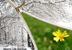 spring-coming-22090457.jpg