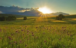 Slovakian-spring-meadow.jpg