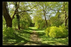spring_morning_by_uktara-d3dop81.jpg
