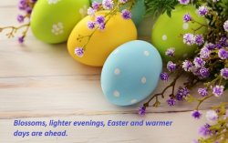 colors-easter-eggs-dots-holiday-flower-wooden-hd-wallpaper.jpg