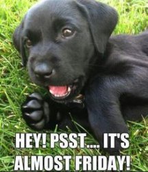 image.jpeg