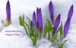 LG_recreation_winter-into-spring.jpg