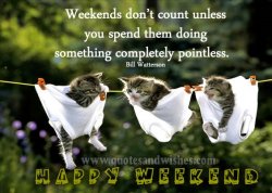 funny-happy-weekend-quote.jpg