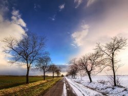 Winter-Spring_Wallpaper_niopo.jpg