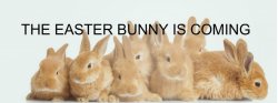 easter_is_almost_here.jpg