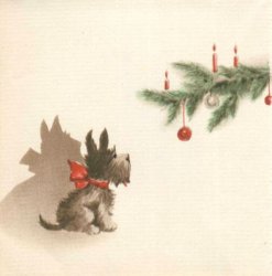 image.jpeg image.jpeg