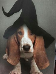 image.jpeg
