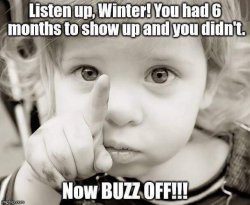 FB_IMG_1460250290812.jpg FB_IMG_1460250290812.jpg