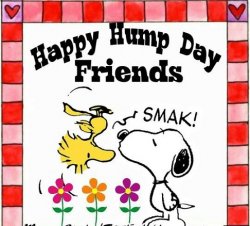 242588-Happy-Hump-Day-Friends.jpg
