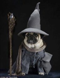 image.jpeg