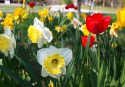 P1010630-2.jpg