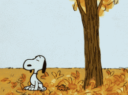 image.gif
