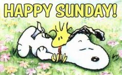 141378-Happy-Sunday.jpg
