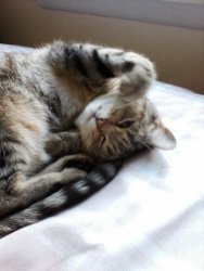 Palmer Delia 021.jpg