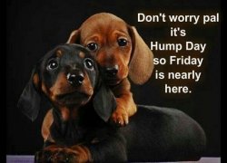 130618-Its-Hump-Day.jpg 130618-Its-Hump-Day.jpg