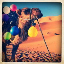 HIP_322384629.227626.jpg HIP_322384629.227626.jpg