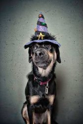 image.jpeg image.jpeg