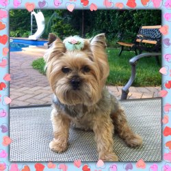 image.jpeg image.jpeg