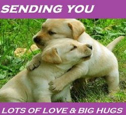 liz-prakash-4047.jpg liz-prakash-4047.jpg