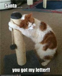 image.jpeg image.jpeg