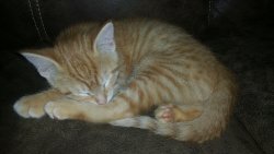 20160616_101613.jpg