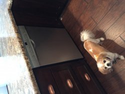 image.jpeg