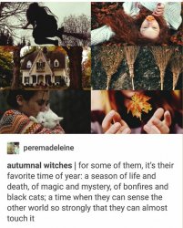 image.jpeg image.jpeg