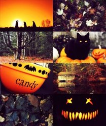 image.jpeg image.jpeg